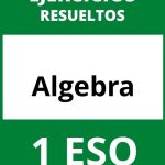 Algebra 1 ESO Ejercicios PDF