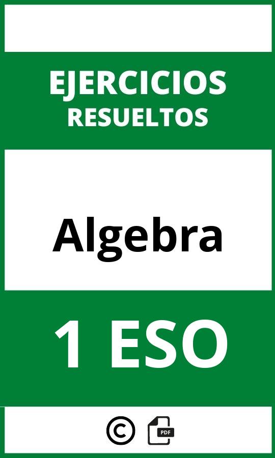 Algebra 1 ESO Ejercicios PDF