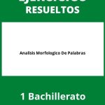 Analisis Morfologico De Palabras 1 Bachillerato Ejercicios  PDF