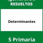 Determinantes 5 Primaria Ejercicios PDF