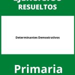 Determinantes Demostrativos Ejercicios Primaria PDF