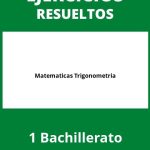 Ejercicios 1 Bachillerato Matematicas Trigonometria PDF