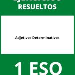 Ejercicios Adjetivos Determinativos 1 ESO PDF