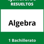 Ejercicios Algebra 1 Bachillerato PDF