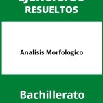 Ejercicios Analisis Morfologico Bachillerato PDF