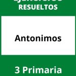 Ejercicios Antonimos 3 Primaria PDF