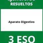 Ejercicios Aparato Digestivo 3 ESO PDF