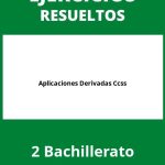 Ejercicios Aplicaciones Derivadas 2 Bachillerato Ccss PDF