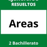 Ejercicios Areas 2 Bachillerato PDF