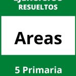 Ejercicios Areas 5 Primaria PDF