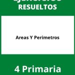 Ejercicios Areas Y Perimetros 4 Primaria PDF