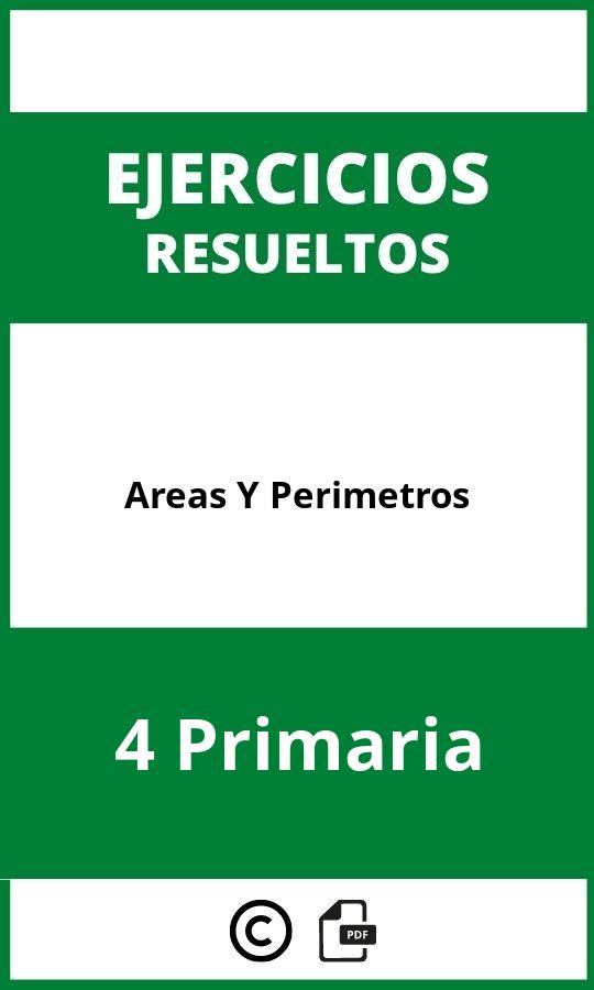 Ejercicios Areas Y Perimetros 4 Primaria PDF