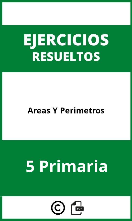 Ejercicios Areas Y Perimetros 5 Primaria PDF