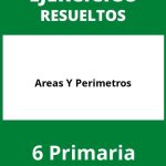 Ejercicios Areas Y Perimetros 6 Primaria PDF