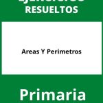 Ejercicios Areas Y Perimetros Primaria PDF