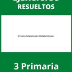 Ejercicios Articulos Determinados E Indeterminados 3 Primaria PDF