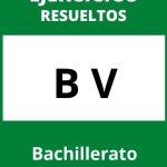 Ejercicios B V PDF Bachillerato