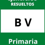 Ejercicios B V Primaria PDF