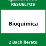 Ejercicios Bioquimica 2 Bachillerato PDF