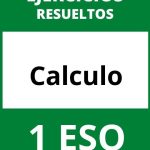 Ejercicios Calculo 1 ESO PDF