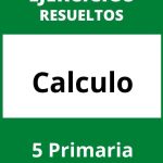 Ejercicios Calculo 5 Primaria PDF