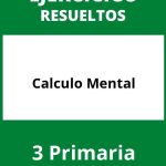 Ejercicios Calculo Mental 3 Primaria PDF