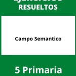 Ejercicios Campo Semantico 5 Primaria PDF