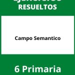 Ejercicios Campo Semantico 6 Primaria PDF