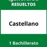 Ejercicios Castellano 1 Bachillerato PDF