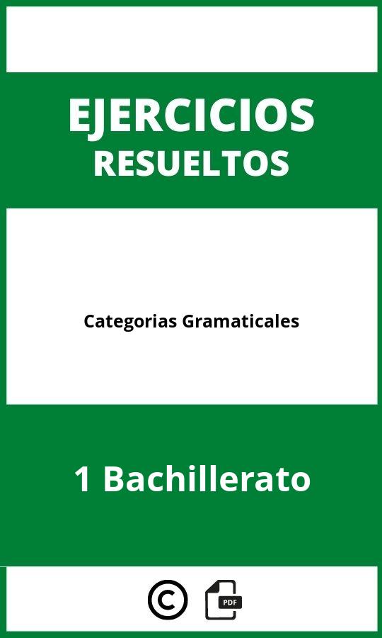 Ejercicios Categorias Gramaticales Bachillerato Pdf