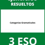 Ejercicios Categorias Gramaticales 3 ESO PDF