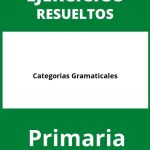 Ejercicios Categorias Gramaticales Primaria PDF