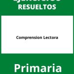 Ejercicios Comprension Lectora Primaria PDF