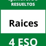 Ejercicios Con Raices 4 ESO PDF