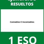 Ejercicios Contables E Incontables 1 ESO PDF