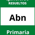 Ejercicios De Abn Primaria PDF