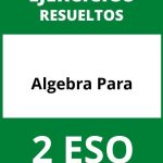 Ejercicios De Algebra Para 2 ESO PDF