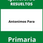 Ejercicios De Antonimos Para Primaria PDF