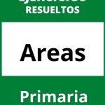 Ejercicios De Areas Primaria PDF