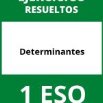 Ejercicios De Determinantes 1 ESO PDF