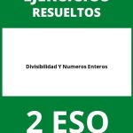 Ejercicios De Divisibilidad Y Numeros Enteros 2 ESO PDF