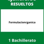 Ejercicios De Formulacion Organica 1 Bachillerato PDF