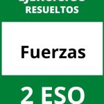 Ejercicios De Fuerzas 2 ESO PDF