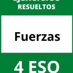 Ejercicios De Fuerzas 4 ESO PDF