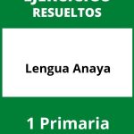 Ejercicios De Lengua 1 Primaria Anaya PDF