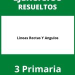 Ejercicios De Lineas Rectas Y Angulos 3 Primaria PDF