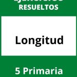 Ejercicios De Longitud 5 Primaria PDF