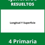 Ejercicios De Longitud Y Superficie 4 Primaria PDF