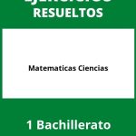 Ejercicios De Matematicas 1 Bachillerato Ciencias PDF