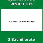 Ejercicios De Matrices 2 Bachillerato Ciencias Sociales PDF